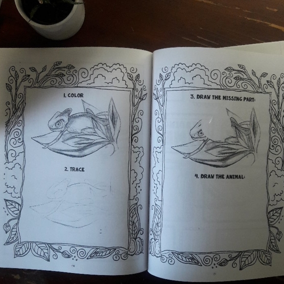 Homeschool Nature Study/Science Journal - Picture 10 of 12